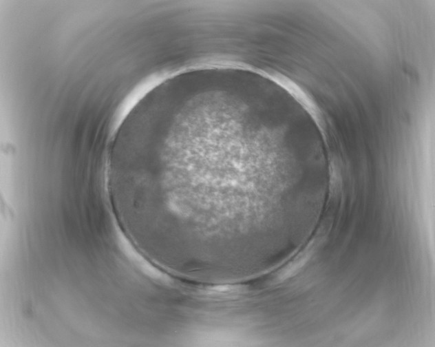 X0000091201390200708091259