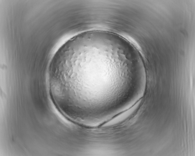 X0000091201391200708091259