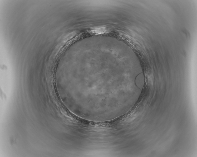 X0000091201393200708091259