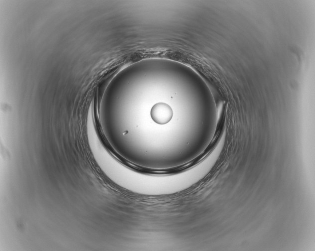 X0000091201394200708091259