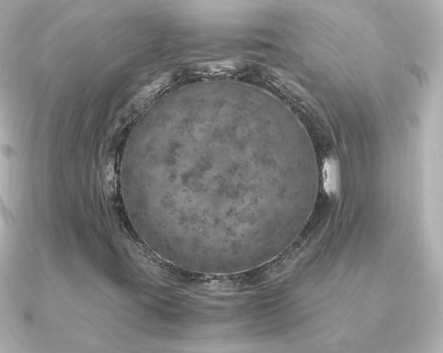 X0000091201395200708091259