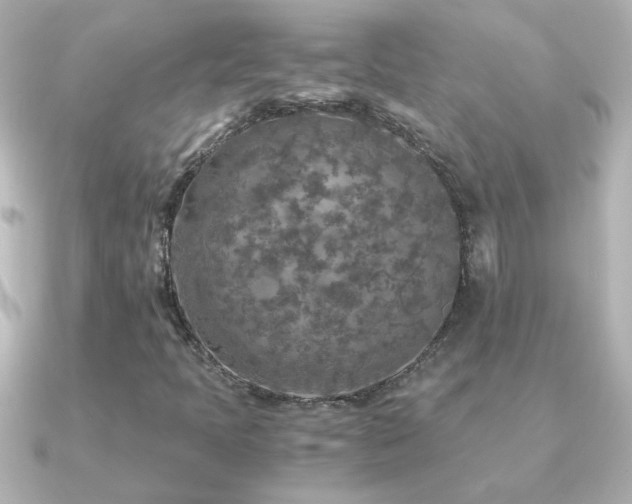 X0000091201397200708091259