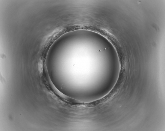 X0000091201398200708091259