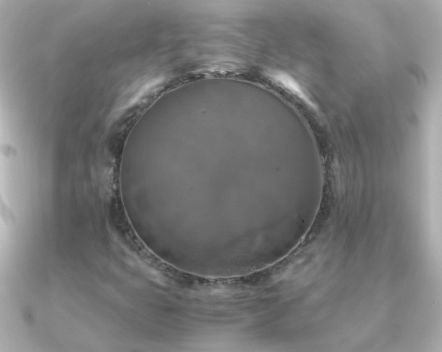 X0000091201399200708091259