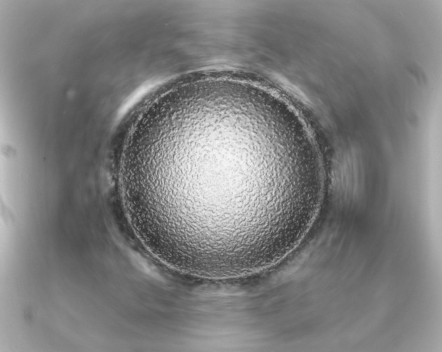 X0000091201400200708091259
