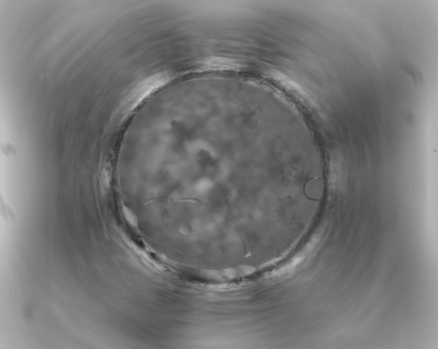 X0000091201401200708091259