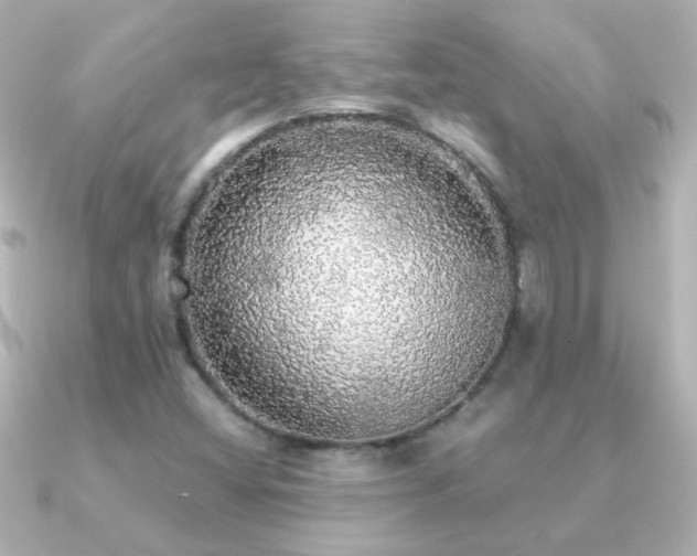 X0000091201404200708091259