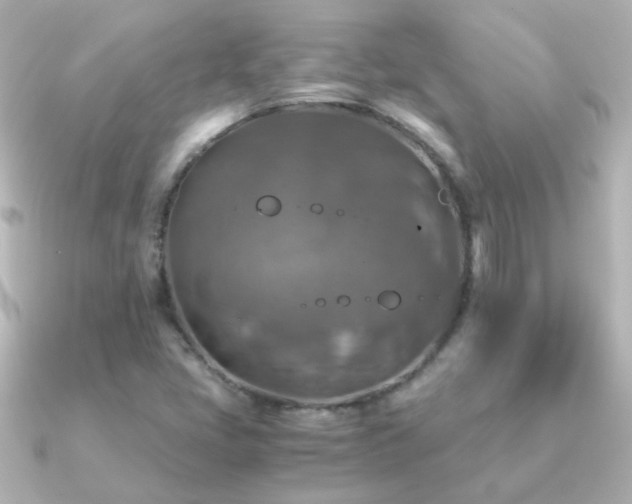 X0000091201405200708091259