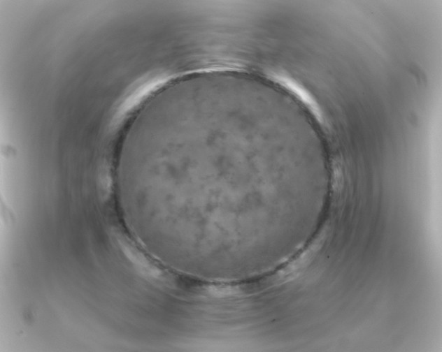 X0000091201407200708091259