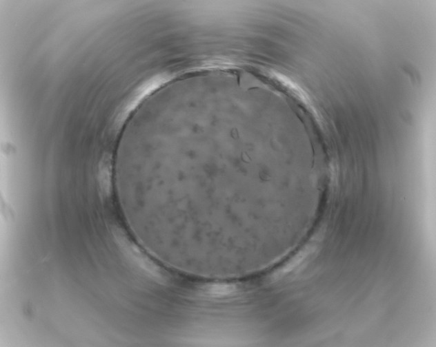 X0000091201409200708091259