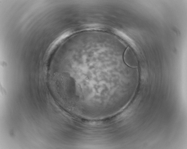X0000091201411200708091259