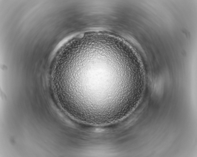 X0000091201412200708091259
