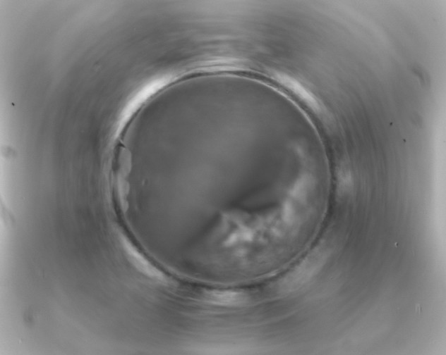 X0000091201413200708091259