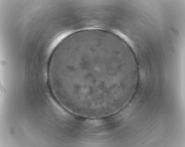 X0000091201415200708091259