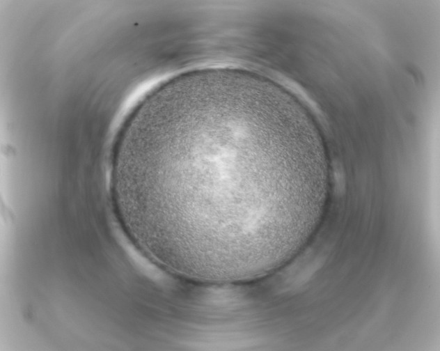 X0000091201416200708091259