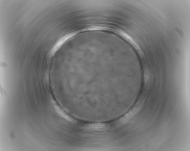 X0000091201417200708091259