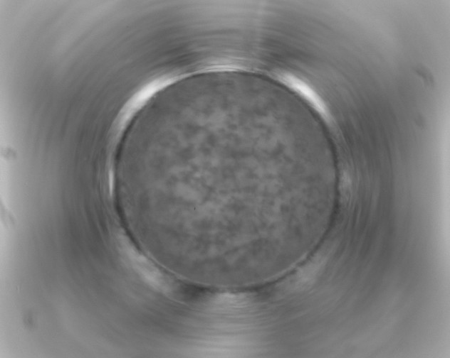 X0000091201419200708091259