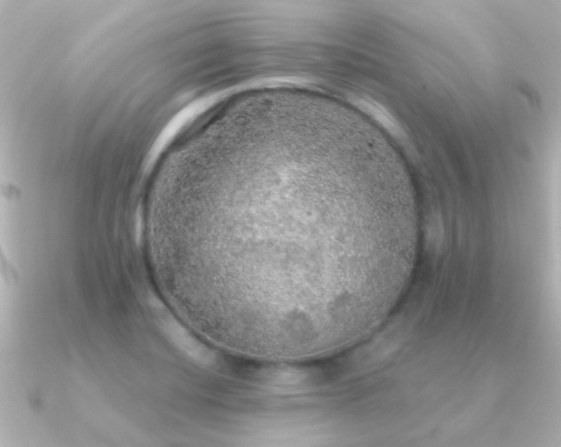 X0000091201420200708091259