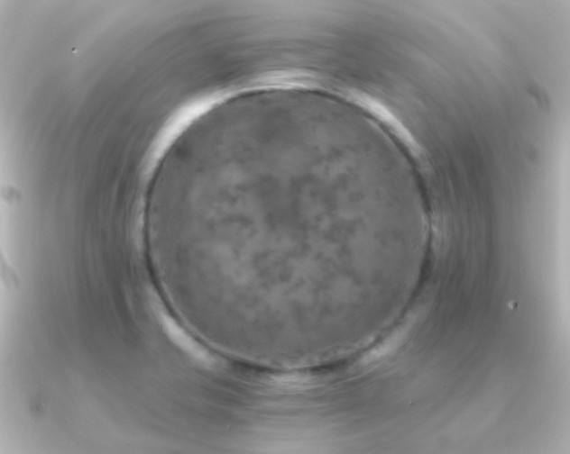 X0000091201421200708091259
