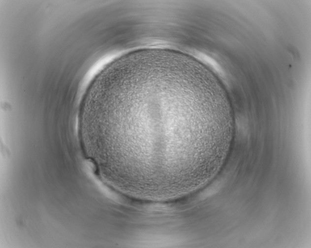 X0000091201424200708091259