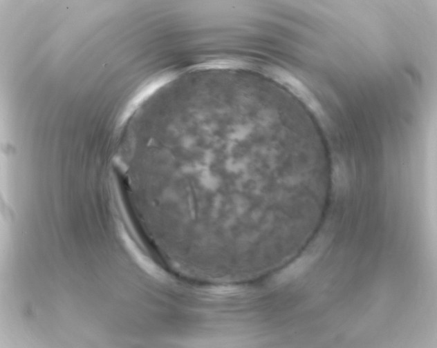 X0000091201425200708091259