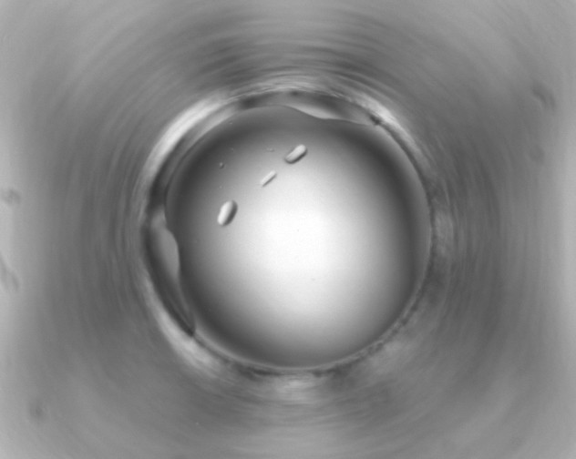 X0000091201426200708091259