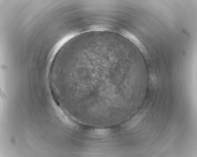 X0000091201427200708091259