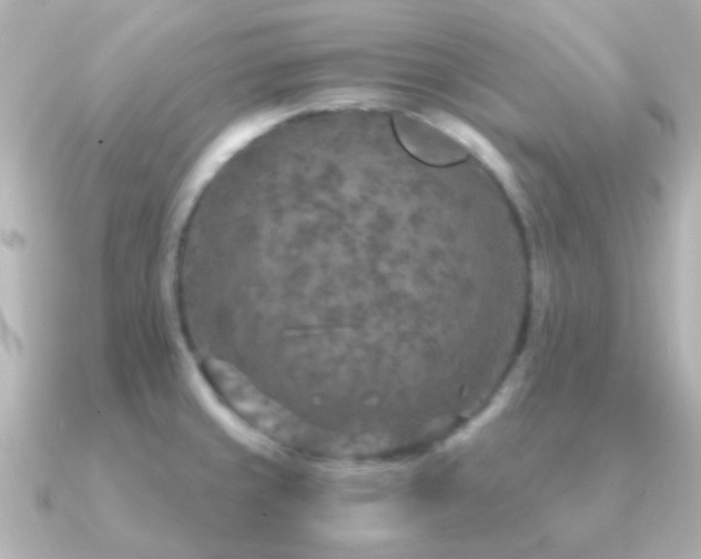 X0000091201429200708091259