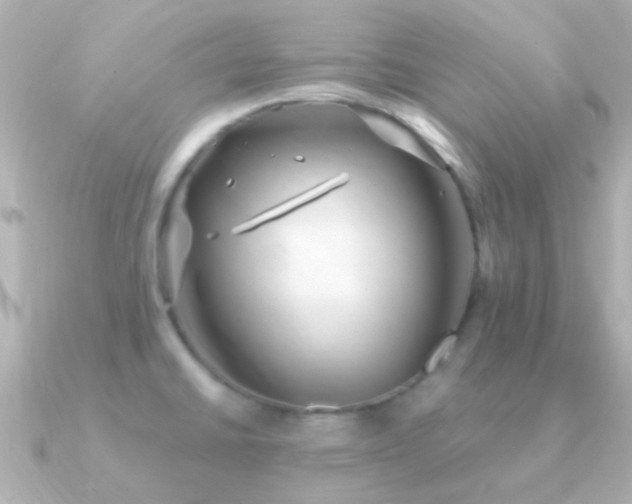 X0000091201430200708091259