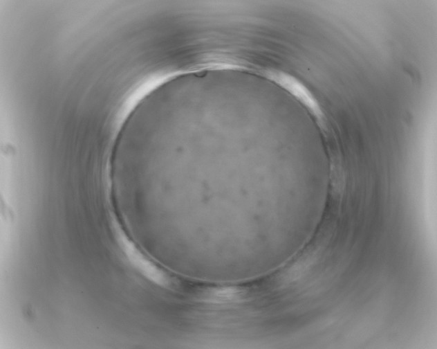 X0000091201431200708091259