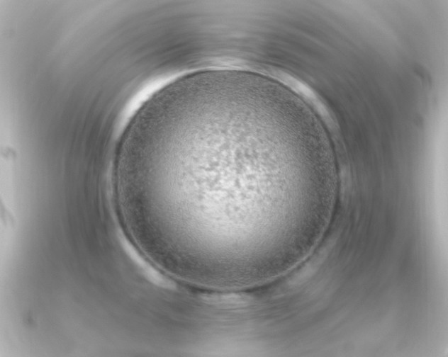 X0000091201432200708091259
