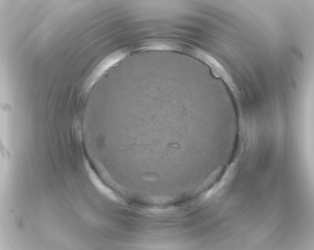 X0000091201433200708091259