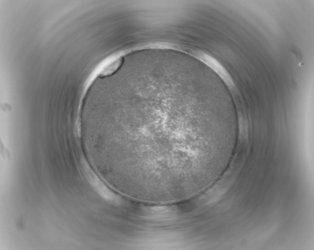 X0000091201436200708091259