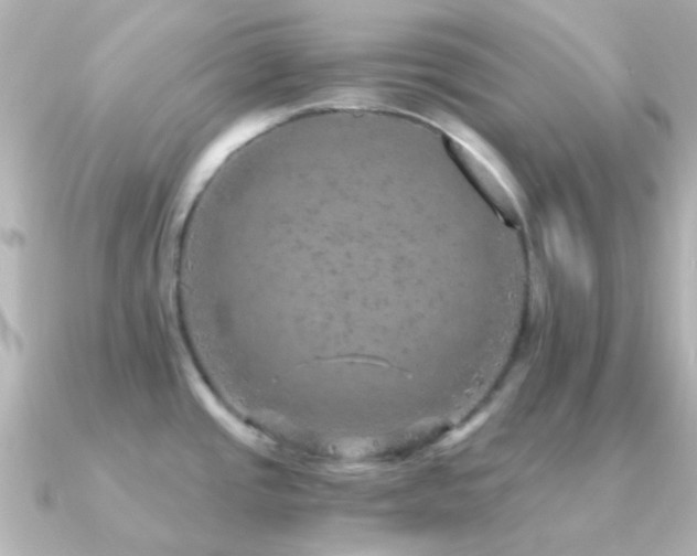 X0000091201437200708091259