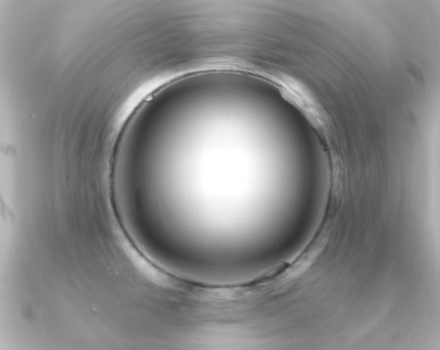 X0000091201438200708091259