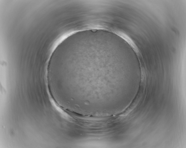 X0000091201439200708091259