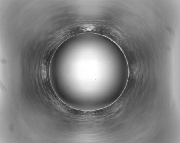 X0000091201442200708091259