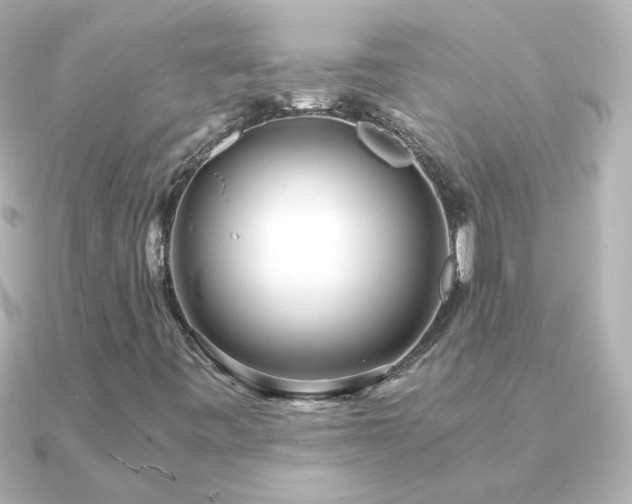 X0000091201443200708091259
