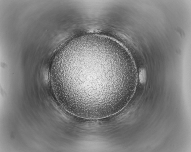 X0000091201444200708091258