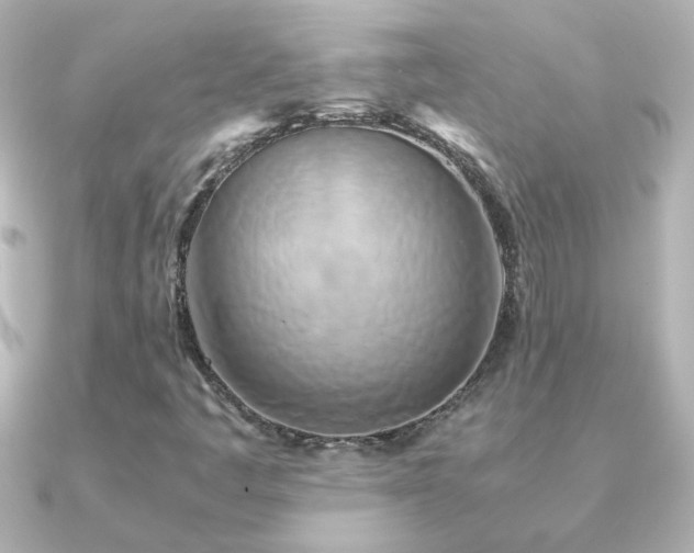 X0000091201445200708091258
