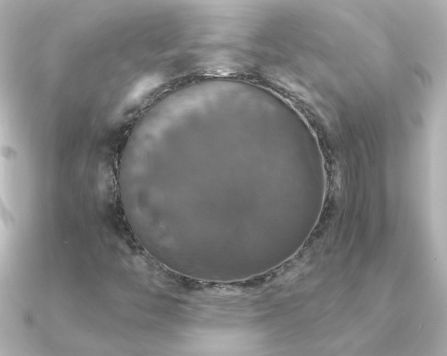 X0000091201446200708091258