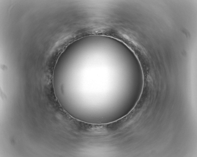 X0000091201447200708091258