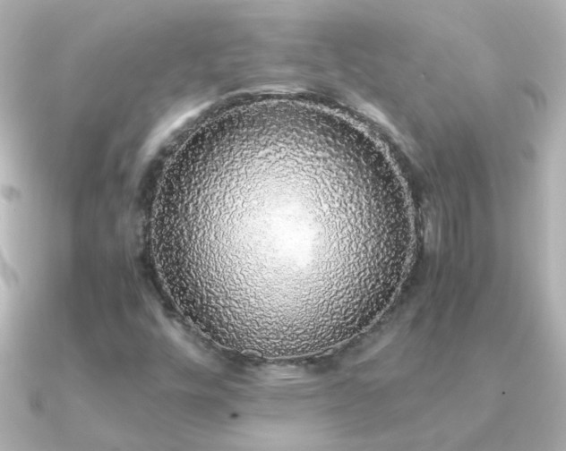 X0000091201448200708091258