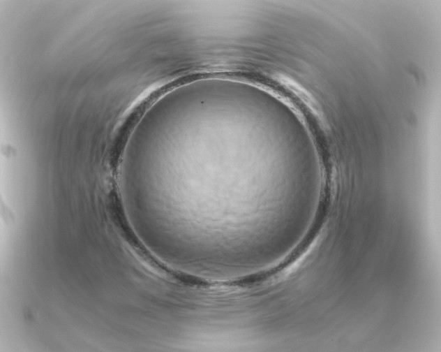 X0000091201449200708091258