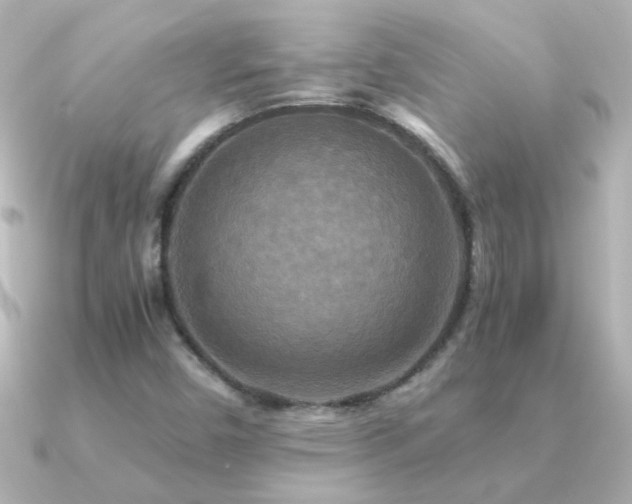 X0000091201450200708091258