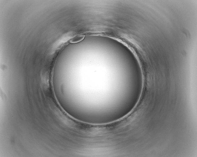 X0000091201451200708091258