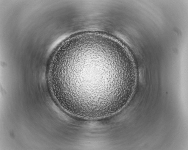 X0000091201452200708091258