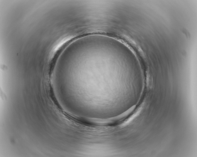 X0000091201453200708091258