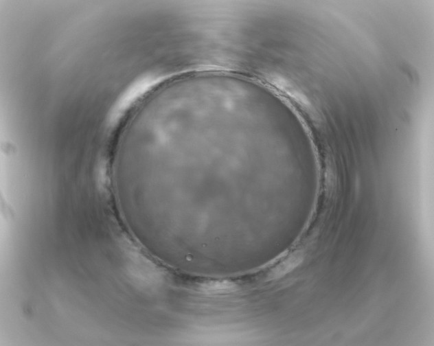 X0000091201454200708091258