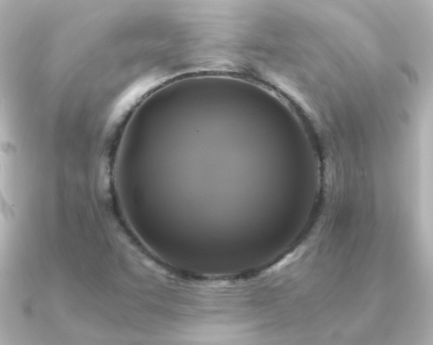 X0000091201455200708091258